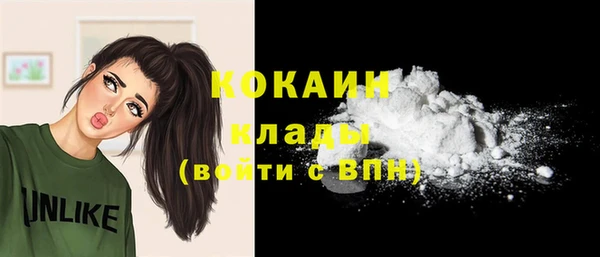 трава Осинники