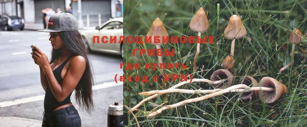 MESCALINE Арсеньев