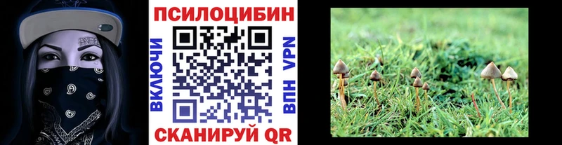 Псилоцибиновые грибы мухоморы  OMG ONION  Сальск 