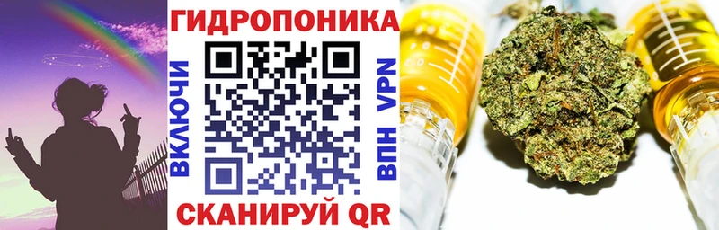 Марихуана сатива Сальск