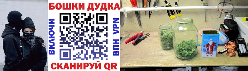 сколько стоит  Сальск  МАРИХУАНА тримм 